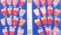 GD-0313K   人体<em>舌苔</em>模型