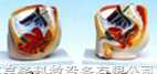 计生<em>模型</em>  男性<em>盆腔</em><em>模型</em>（矢状<em>切面</em>）