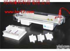 核酸<em>电泳槽</em>|  JY-SPAT型<em>水平电泳</em>槽|<em>水平电泳</em>仪|<em>电泳槽</em>价格