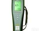 YSI Pro20型  YSI <em>Pro20型 溶解氧测量仪</em>