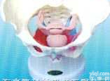 SMD067  女性<em>骨盆</em>及<em>盆底</em><em>肌肉</em>模型