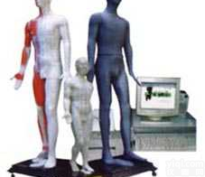 JAW-100E  光电感应<em>键控</em>人体<em>针灸</em><em>穴位</em>发光模型