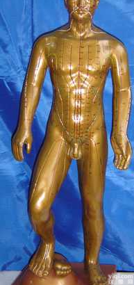 运动式<em>古铜色</em>人体针灸模型（85CM）