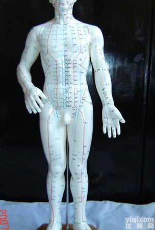 GD/C00007  <em>人体针灸模型（人体针灸经穴奇穴模型50CM）</em>