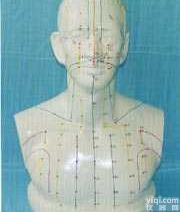 <em>大型人体头部针灸穴位模型（头部四功能针灸腧穴模型）</em>