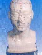 人体<em>头部</em><em>针灸</em>穴位<em>模型</em>（<em>头部</em>四功能<em>针灸</em>腧穴<em>模型</em>20CM）