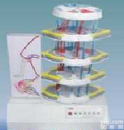 SME21  <em>脊髓</em>反射和<em>损伤</em>表现电动模型