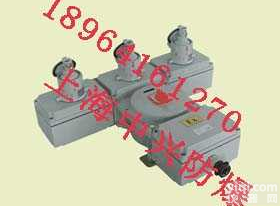 <em>BXX52</em>防爆<em>检修</em><em>电源插座</em>箱  <em>BXX52</em>防爆<em>检修</em><em>电源插座</em>箱