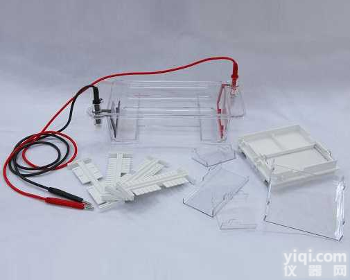 BJL/DYCP-31DN  <em>琼脂</em>糖<em>水平电泳</em>仪/<em>琼脂</em>糖<em>水平电泳</em>槽/<em>电泳仪</em>