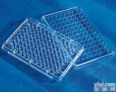 <em>Costar细胞培养板（U底/平底）</em>