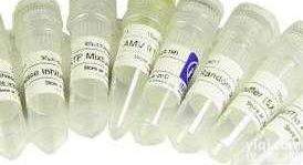 CAS号：7778-54-3  <em>次氯酸钙</em>/<em>漂粉精</em>/高级晒粉/Calcium hypochlorite