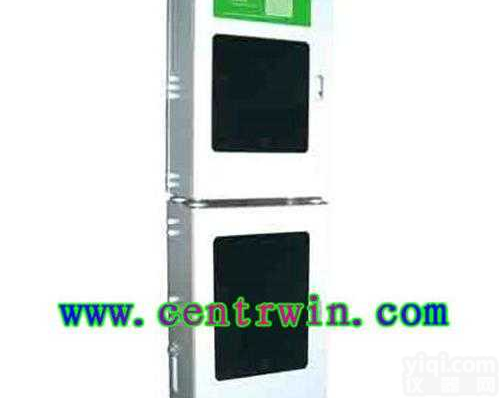 ZH6594  <em>总磷在线分析仪/在线总磷分析仪 型号：ZH6594</em>