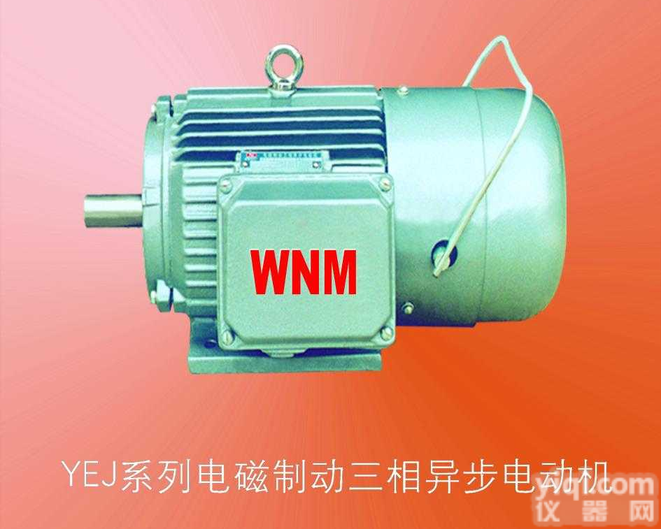 <em>YEJ系列电磁制动三相异步电动机</em>