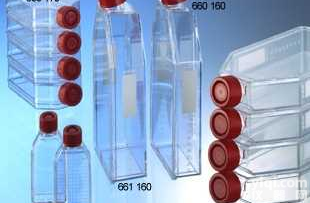 <em>德国</em>Greiner<em>无菌</em>细胞培养瓶（正方斜颈/三角斜颈）