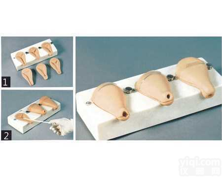 高级<em>人工流产</em><em>模拟</em><em>子宫</em>模型