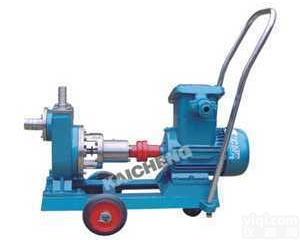 <em>FMZ</em>/<em>JMZ</em>型  不锈钢自吸泵