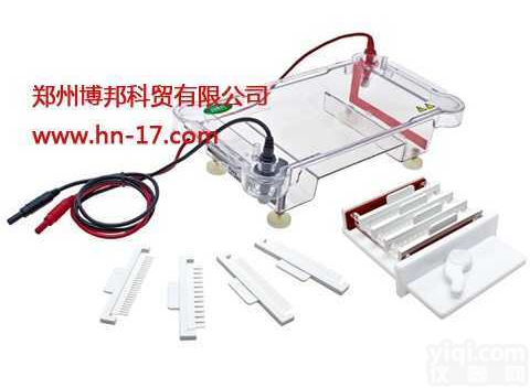 JY-SPFT型<em>水平电泳</em>槽|  JY-SPFT型<em>水平电泳</em>槽|<em>水平电泳</em>仪|核酸电泳|DNA<em>电泳槽</em>