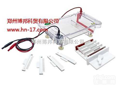 JY-SPFT型<em>水平电泳</em>槽  JY-SPFT型<em>水平电泳</em>槽|<em>水平电泳</em>槽|<em>电泳槽</em>价格