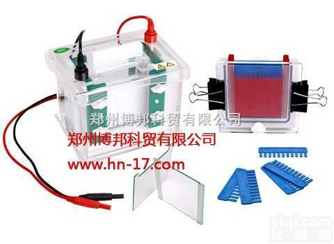 JY-SCZ4+型四板<em>垂直电泳</em>槽  JY-SCZ4+型四板<em>垂直电泳</em>槽|<em>垂直电泳</em>仪|蛋白电泳|电泳槽价格