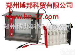 JY-SX3型双向<em>电泳槽</em>  JY-SX3型双向<em>电泳槽</em>，水平<em>电泳槽</em>，垂直<em>电泳槽</em>，<em>电泳仪</em>，电泳原理