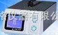 M228871  废气分析/<em>滤纸</em>式<em>全自动</em><em>烟度计</em>（液晶）
