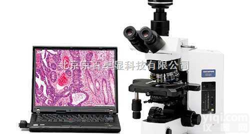 BX51  <em>山东</em>OLYMPUS<em>生物</em><em>显微镜</em>参数、<em>山东</em><em>生物</em>图像分析系统价格、<em>山东</em>病理图...