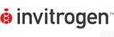 Invitrogen 15596-026  <em>100ml</em>  Trizol <em>Reagent</em>