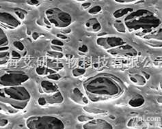 美国密理博0.22um/0.45um<em>聚醚</em>砜过滤膜/<em>微孔滤膜</em>