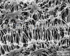 美国Millipore<em>聚四氟乙烯</em><em>微孔过滤</em>膜