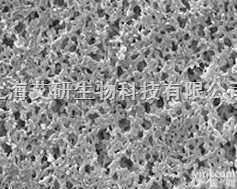 <em>美国</em>Millipore<em>尼龙</em>微孔过<em>滤膜</em>