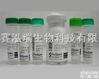 PC2101 <em>100</em>次  <em>高保真</em>PCR扩增试剂盒