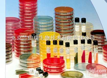 OXOID β-内<em>酰胺</em>酶卵磷脂吐温胰蛋白胨大豆<em>琼脂</em>（β-内<em>酰胺</em>酶+（接...