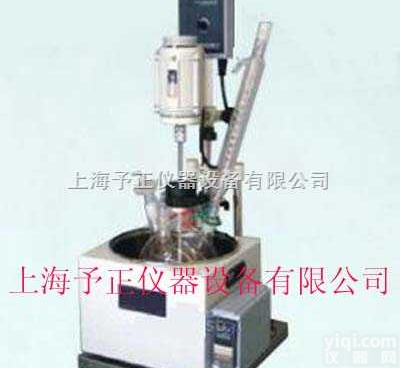 <em>F-5L  单层玻璃反应釜</em>（多功能反应器）