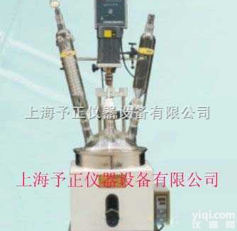 <em>F-2L  单层玻璃反应釜</em>（多功能反应器）