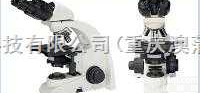 UB100i  上海<em>形态</em>生物<em>显微镜</em>、上海<em>形态</em>澳蒲生物<em>显微镜</em>、上海<em>形态</em>无限远生物<em>显微镜</em>