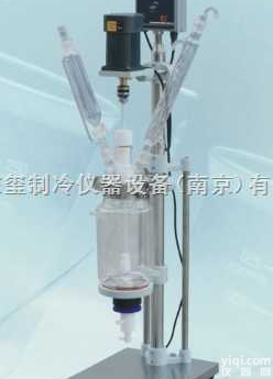 S212-1L  <em>S212-1L双层玻璃反应釜</em>