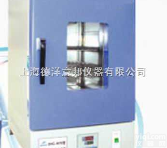<em>101-1A  数显鼓风干燥箱</em>