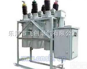 <em>DW8-35/1000  DW8-35/1000户外高压多油断路器</em>