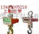 OCS  电子<em>吊钩</em>秤，电子<em>吊钩</em>称，电子吊<em>磅秤</em>，电子吊磅称
