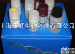 48T/96T  <em>小鼠</em><em>脂蛋白</em><em>磷脂</em>酶A2（Lp-PLA2） ELISA Kit