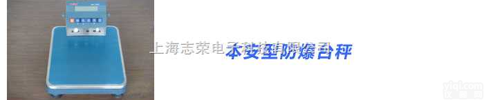 <em>本安</em>型电子台秤，<em>本安</em>型<em>电子秤</em>仪表，<em>防爆</em>电子称