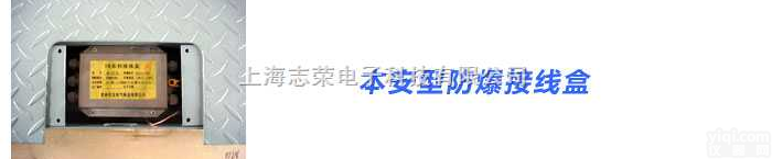 <em>防爆</em>型<em>接线盒</em>，电子<em>防爆</em>秤，<em>防爆</em>秤
