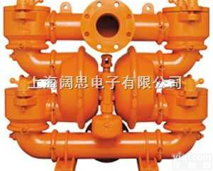 P1/<em>PPPPP</em>/WFS/WF/<em>KWF</em>  气动隔膜泵