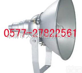 <em>防震</em><em>投光灯</em>/<em>防震</em><em>投光灯</em>价格/<em>防震</em><em>投光灯</em>厂家