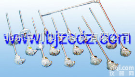 RY.01-ZPS  <em>装配式热电偶（阻）</em>