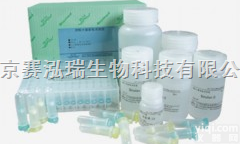 <em>13778</em>-075  Lipofectamine&trade; RNAiMAX 转染...