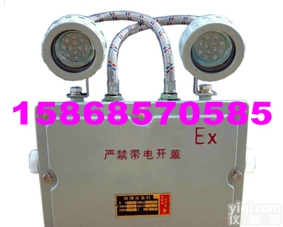 BAJ52<em>防爆</em><em>应急灯</em>，乐清<em>防爆</em>双头<em>应急灯</em>生产<em>厂家</em>，依客思<em>防爆</em><em>应急灯</em>，柳...