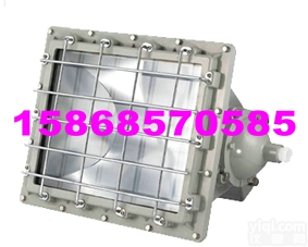 『<em>BAT52</em>防爆泛光灯·<em>BAT52</em>· 』丨<em>乐清</em>BA...