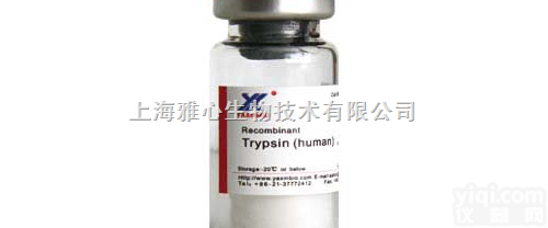 RHT03  trypsin,Recombinant human <em>Trypsin</em>