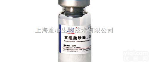 RCPB01  羧<em>肽酶</em>B,重组羧<em>肽酶</em>B,<em>Carboxypeptidase</em> B
